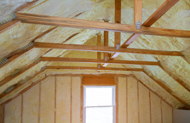 Best Wall Insulation Contractor  in Lone Star, TX