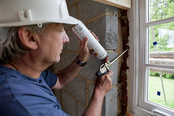 Best Local Insulation Services  in Lone Star, TX
